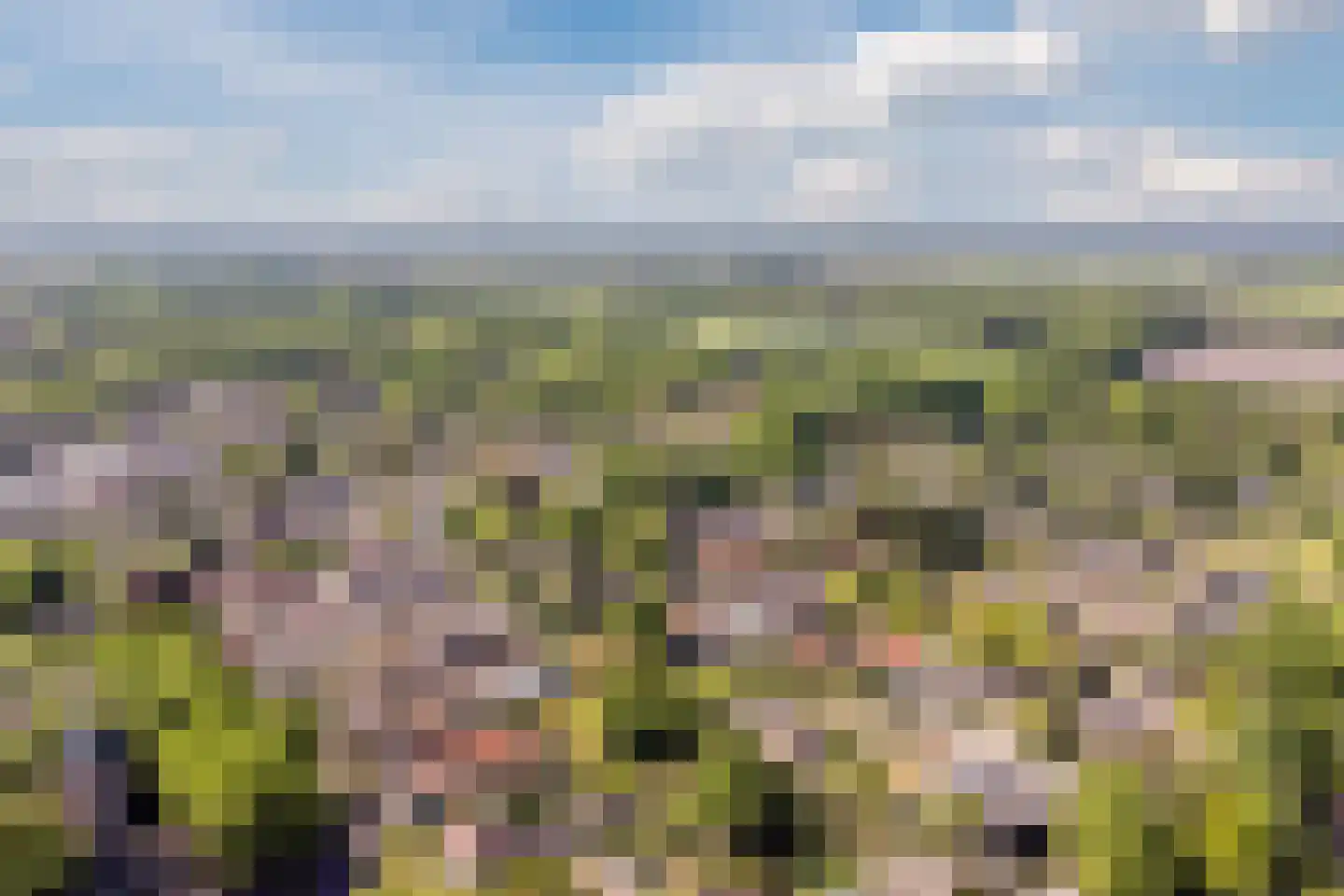 Schultestraat 2 Vries thumbnail 52