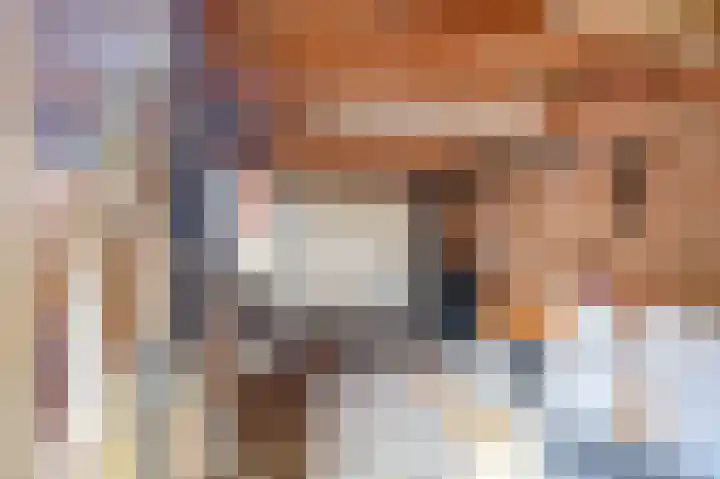 Schultinghstraat 20 Eindhoven thumbnail 33