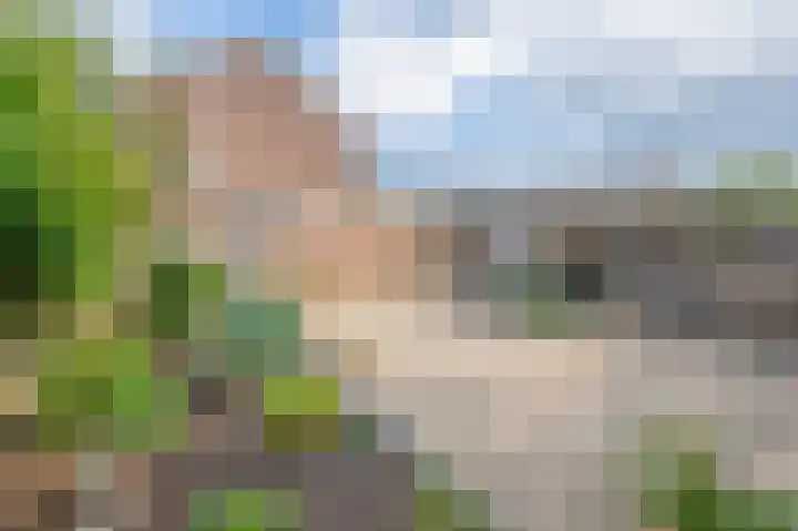 Schultinghstraat 20 Eindhoven thumbnail 35