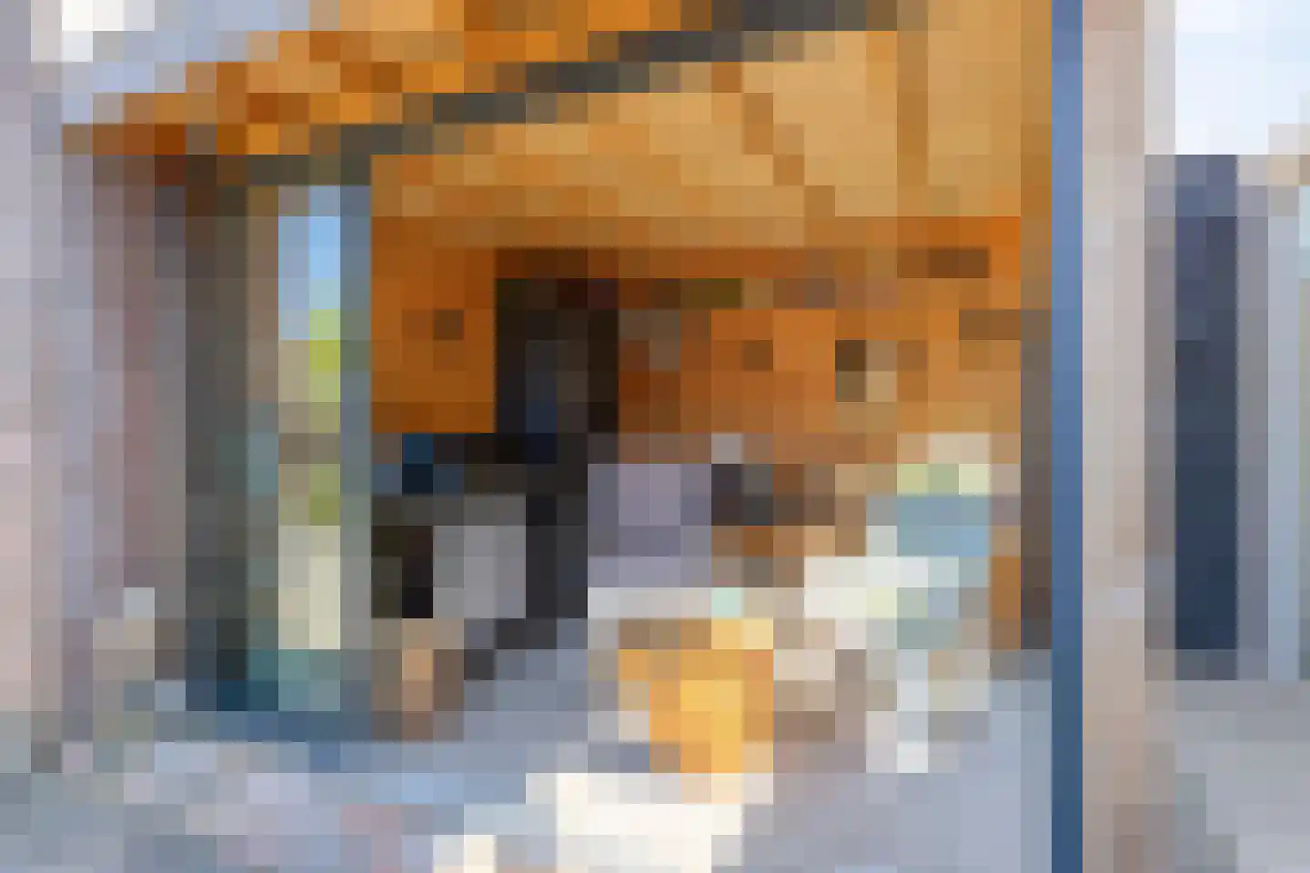 Schultinghstraat 36 Eindhoven thumbnail 28
