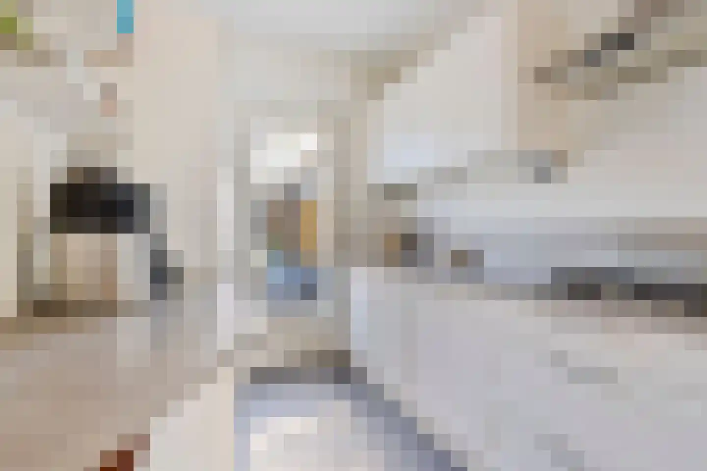 Schultinghstraat 36 Eindhoven thumbnail 8