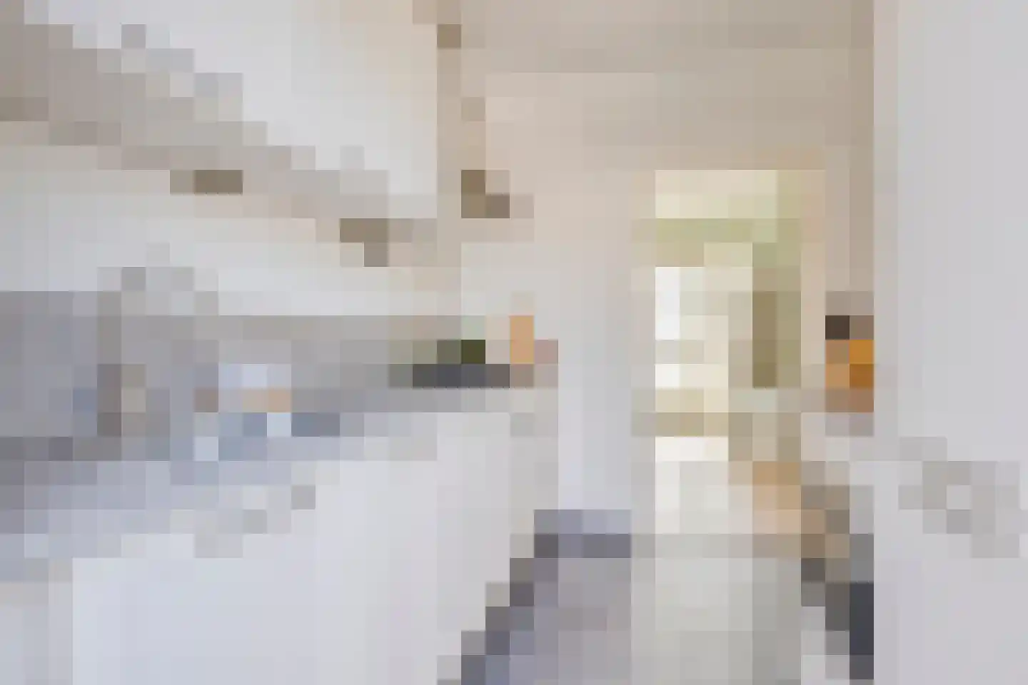 Schultinghstraat 36 Eindhoven thumbnail 9