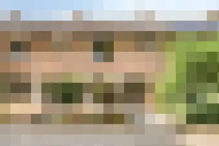 Schultinghstraat 40 Eindhoven thumbnail 22