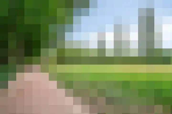 Schultinghstraat 40 Eindhoven thumbnail 28
