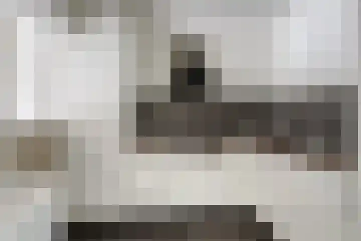 Schultinghstraat 40 Eindhoven thumbnail 6