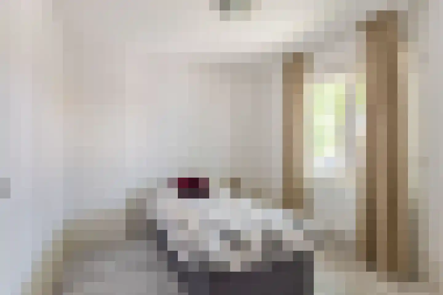 Schultinghstraat 53 Eindhoven thumbnail 20