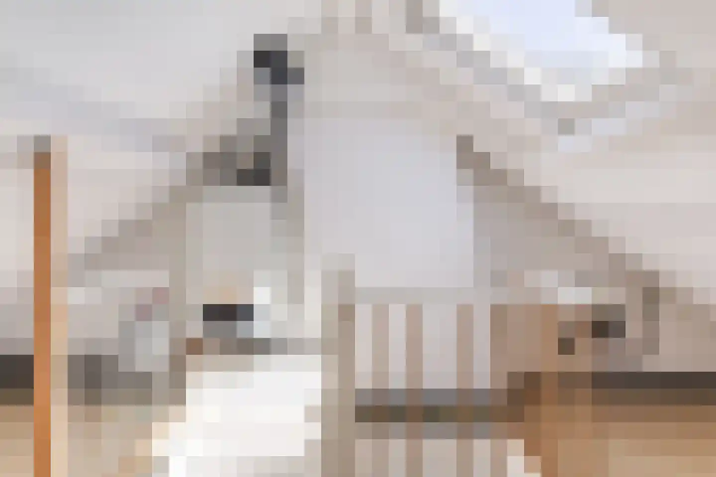 Schultinghstraat 53 Eindhoven thumbnail 23