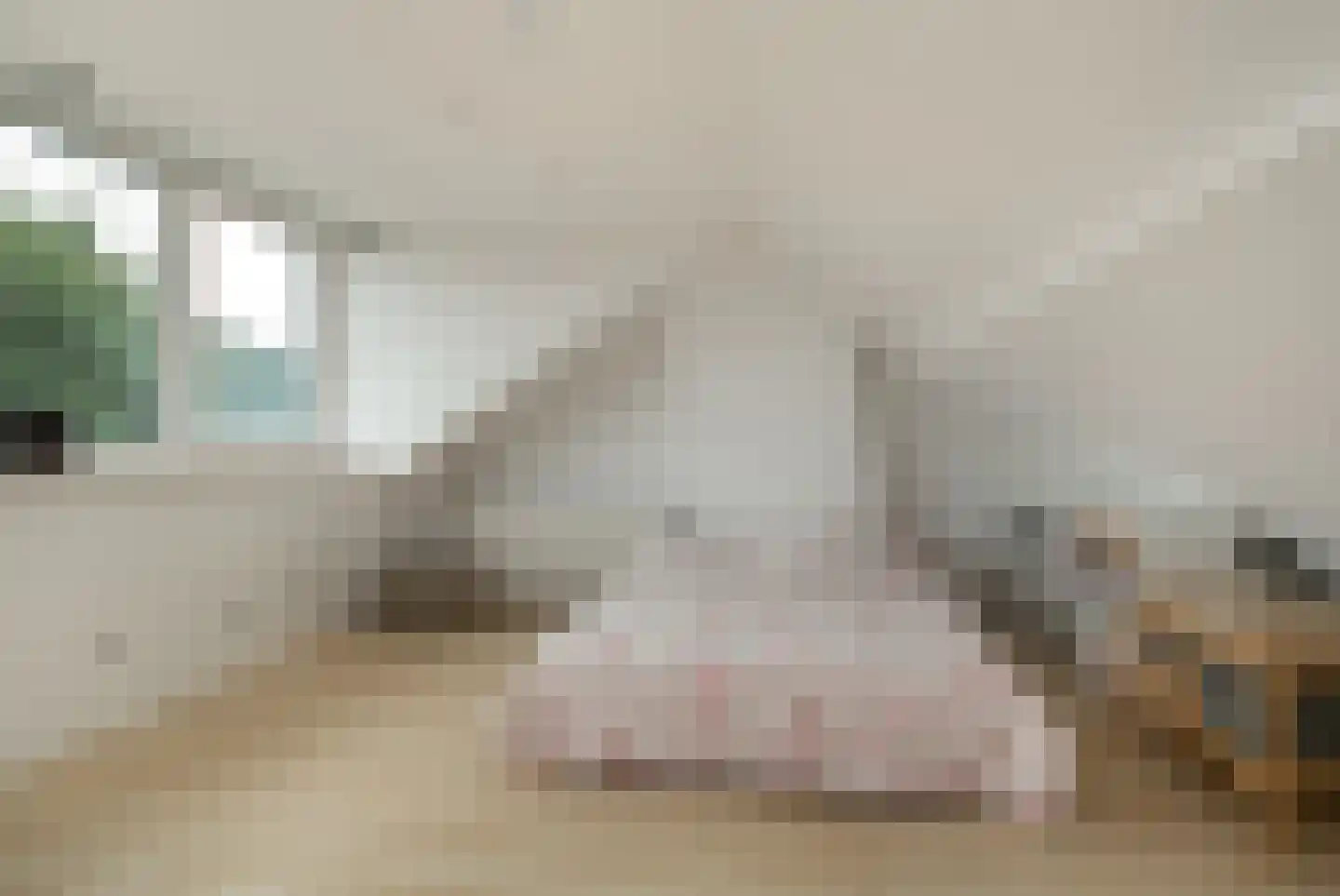 Schultinghstraat 53 Eindhoven thumbnail 25