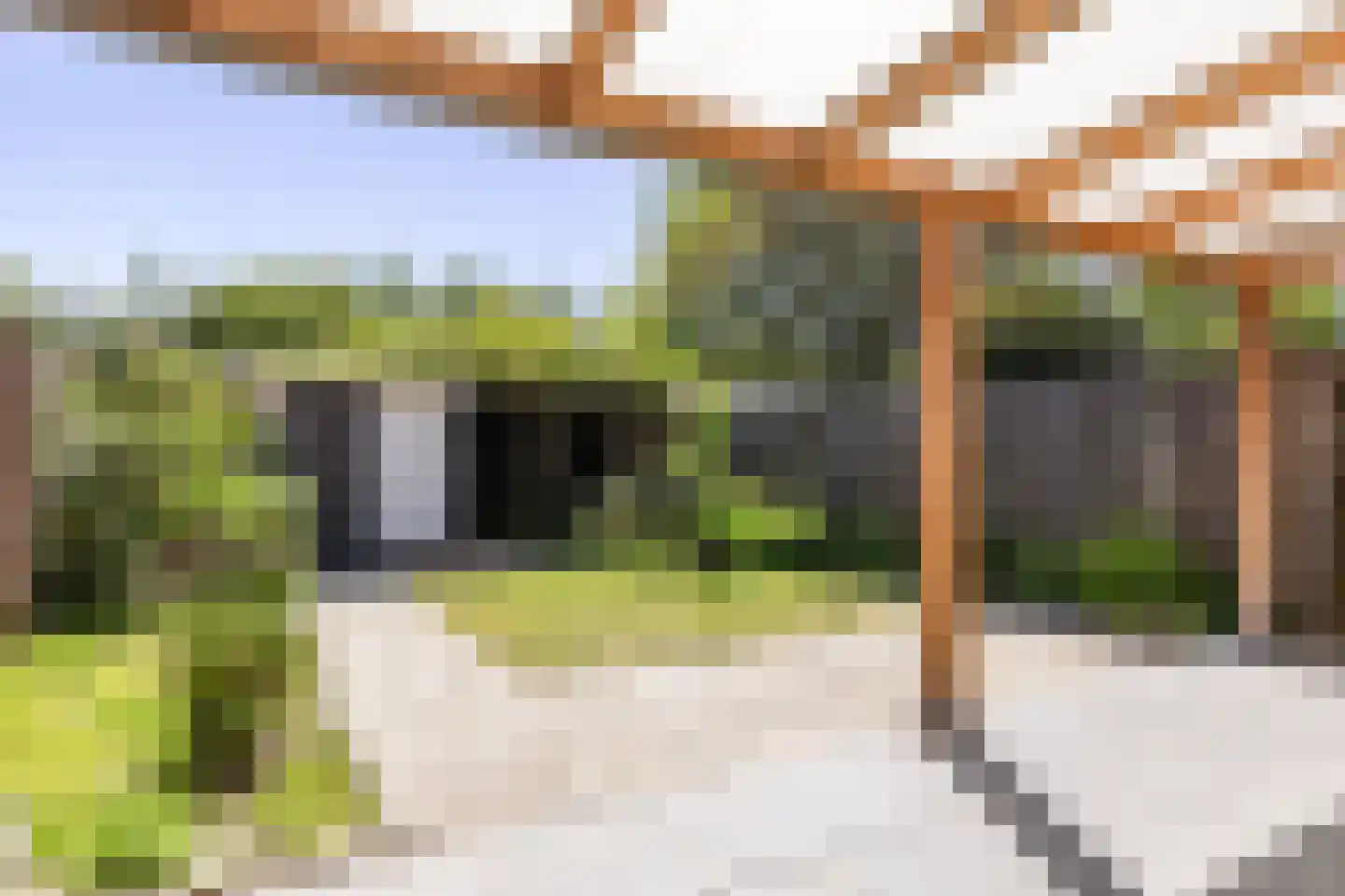 Schultinghstraat 53 Eindhoven thumbnail 28
