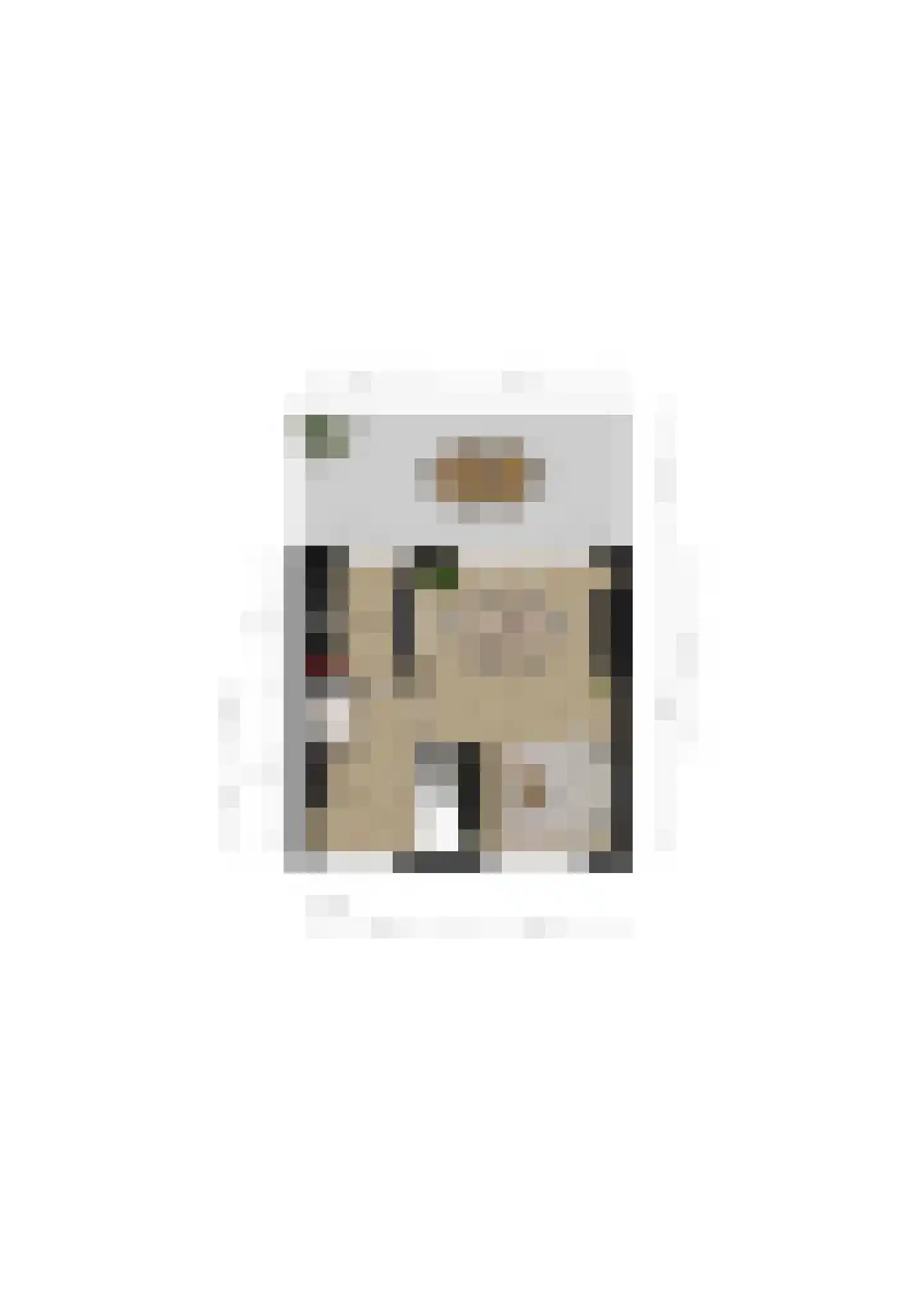 Schultinghstraat 53 Eindhoven thumbnail 33