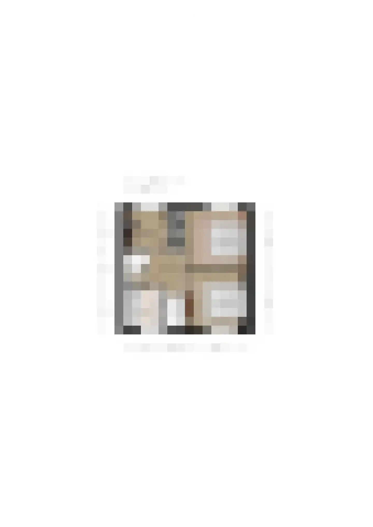 Schultinghstraat 53 Eindhoven thumbnail 34