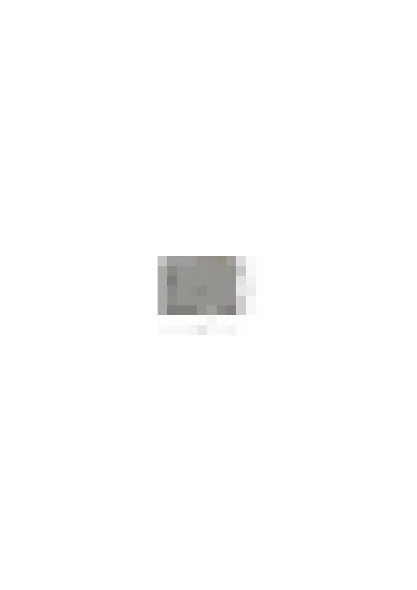 Schultinghstraat 53 Eindhoven thumbnail 36
