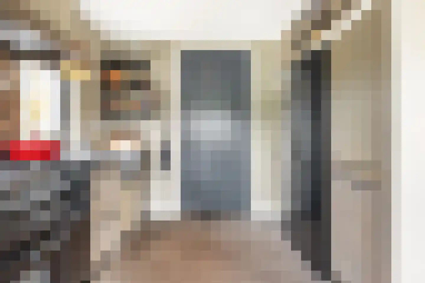 Schultz van Haegenstraat 28 Hendrik-Ido-Ambacht thumbnail 42