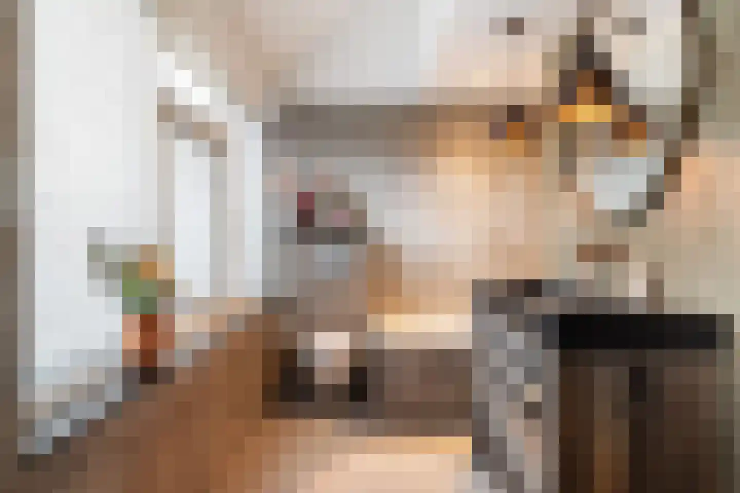 Schultz van Haegenstraat 28 Hendrik-Ido-Ambacht thumbnail 47
