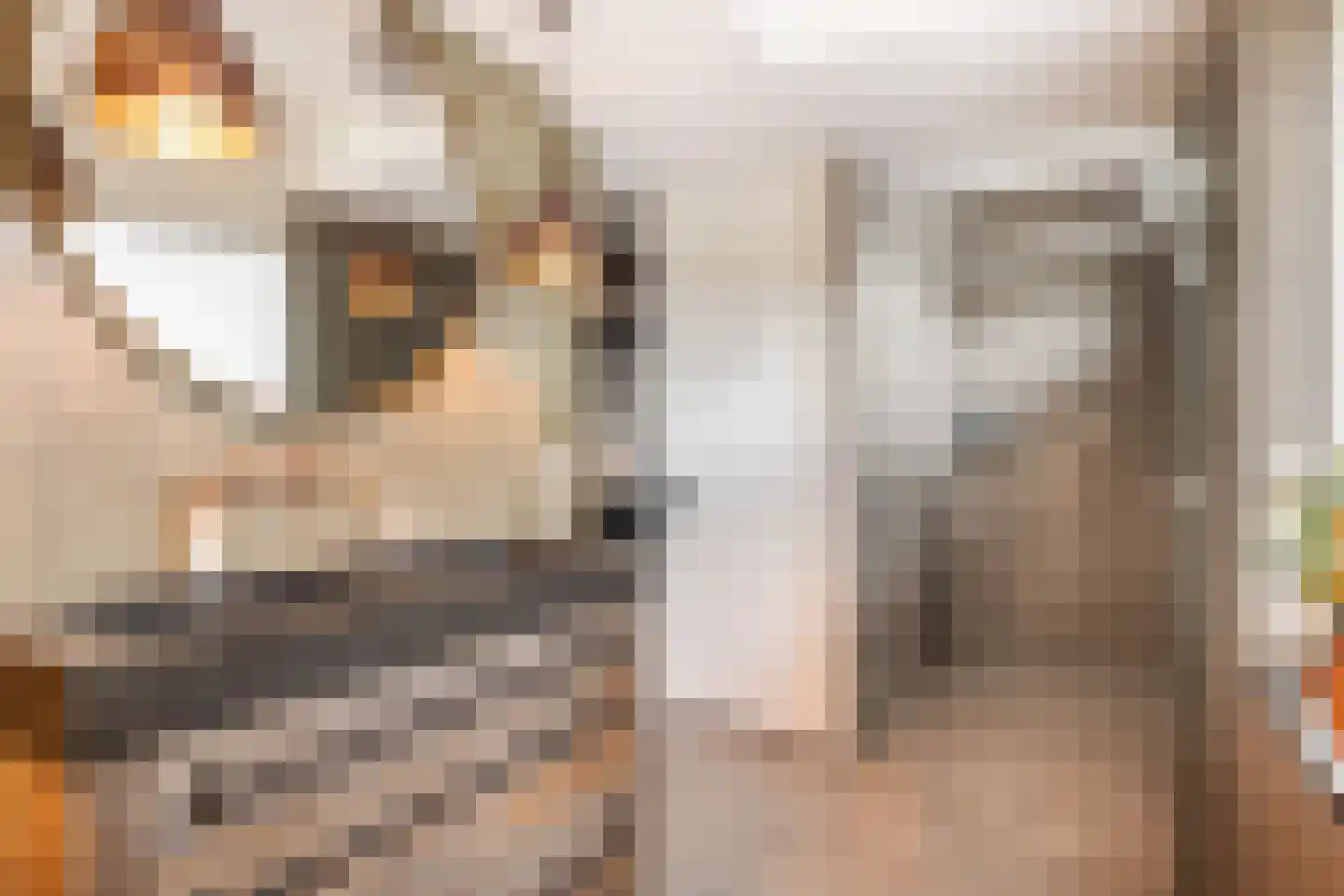 Schultz van Haegenstraat 28 Hendrik-Ido-Ambacht thumbnail 49