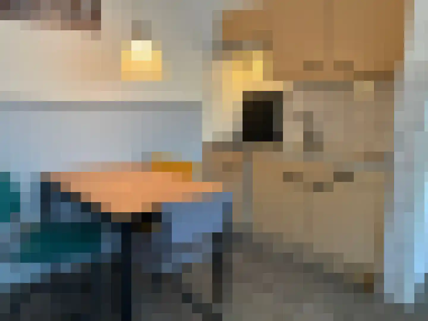 Schumakersweg 18 De Koog thumbnail 11