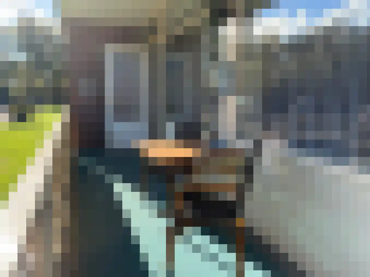 Schumakersweg 18 De Koog thumbnail 20