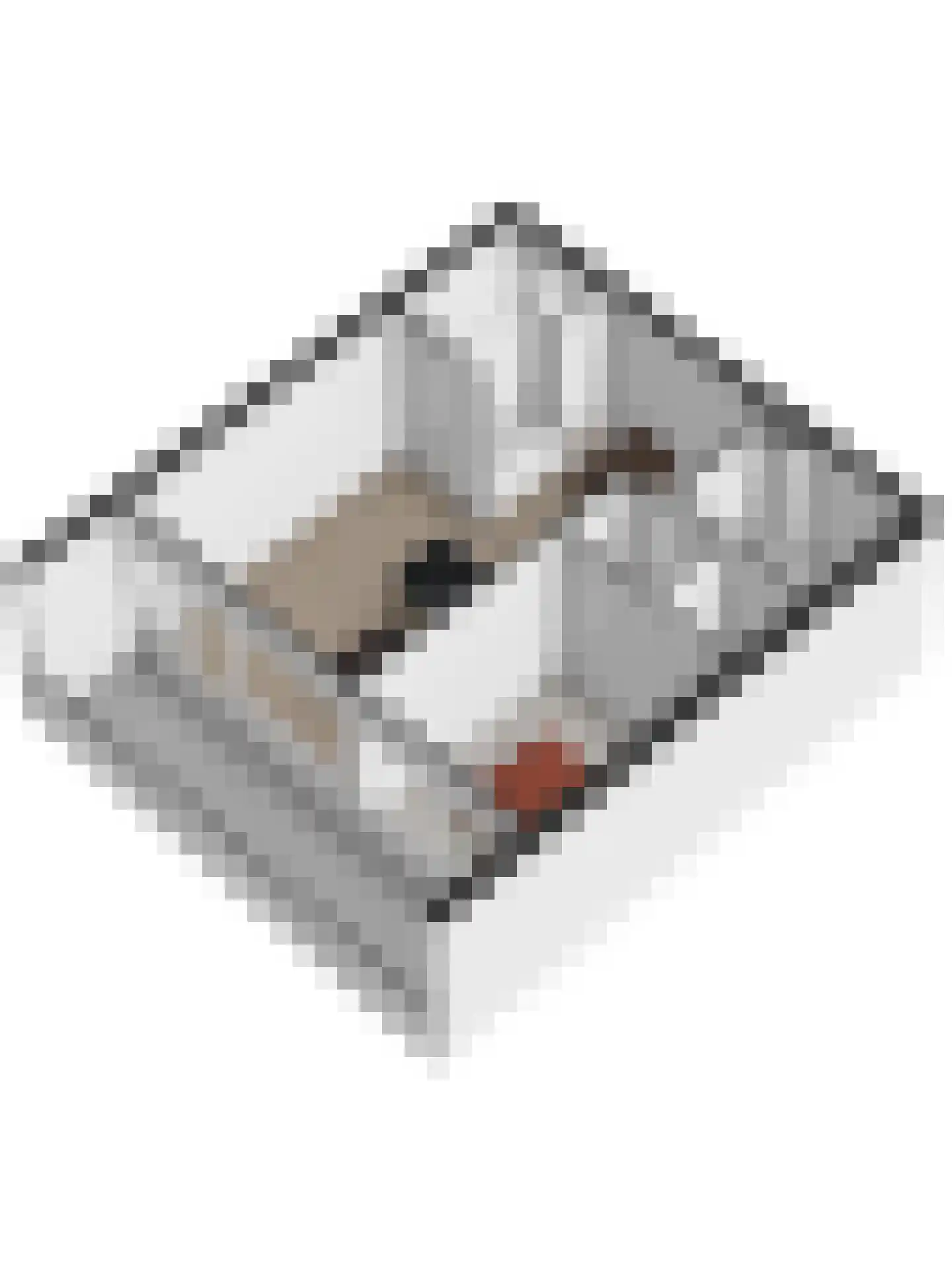 Schumakersweg 18 De Koog thumbnail 26