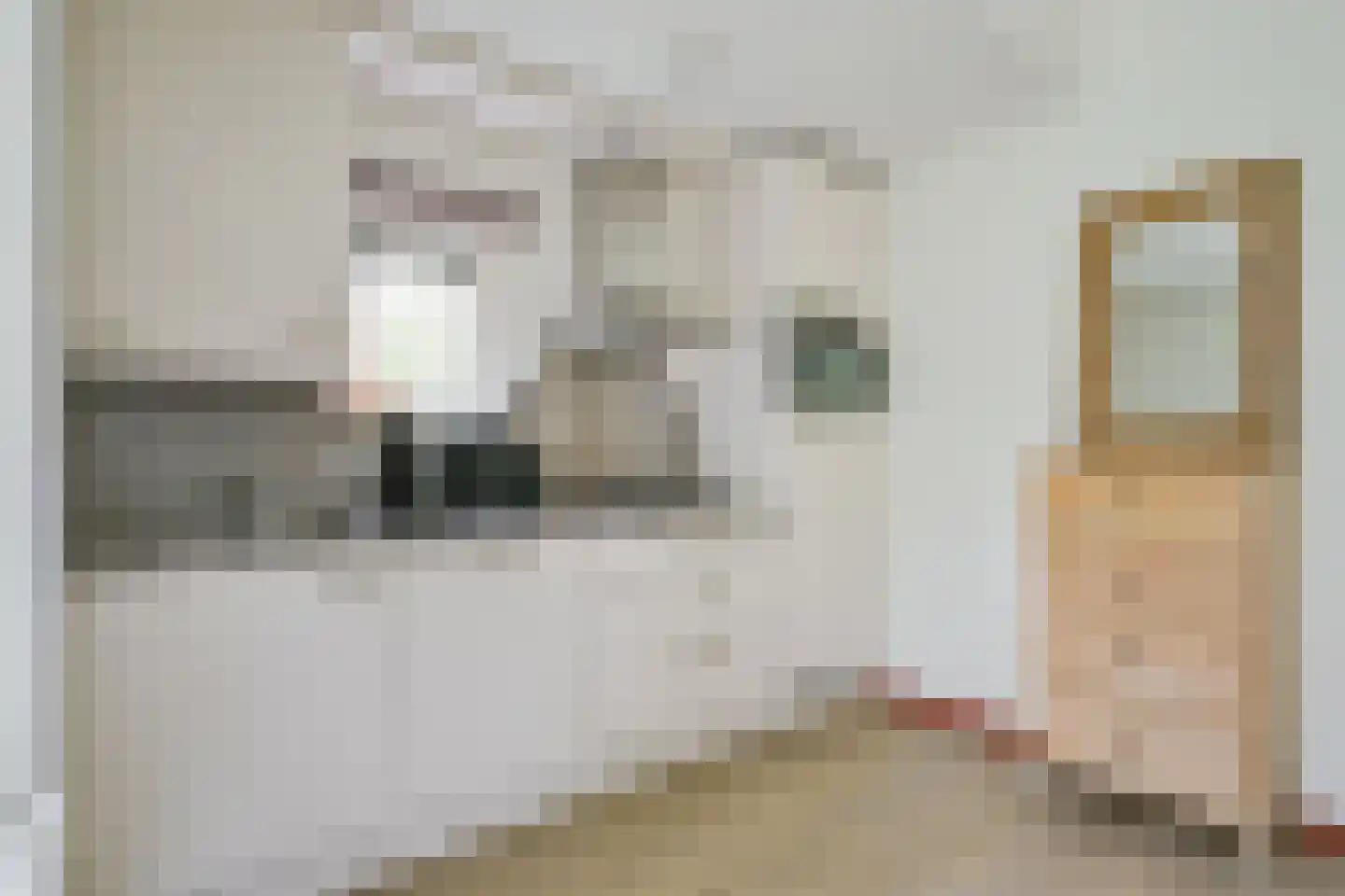 Schumakersweg 31 322 De Koog thumbnail 15