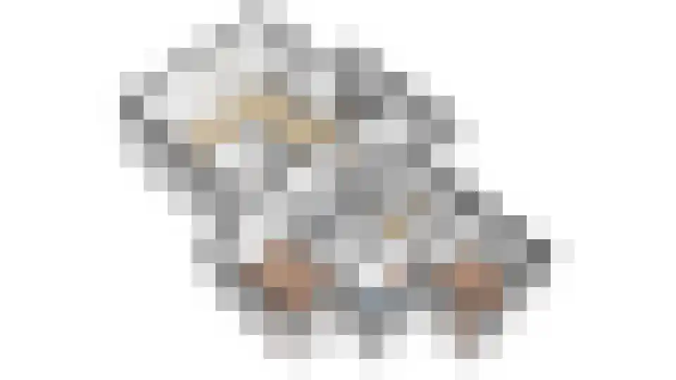 Schumakersweg 31 322 De Koog thumbnail 50