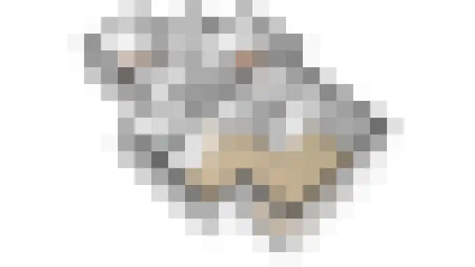 Schumakersweg 31 322 De Koog thumbnail 51
