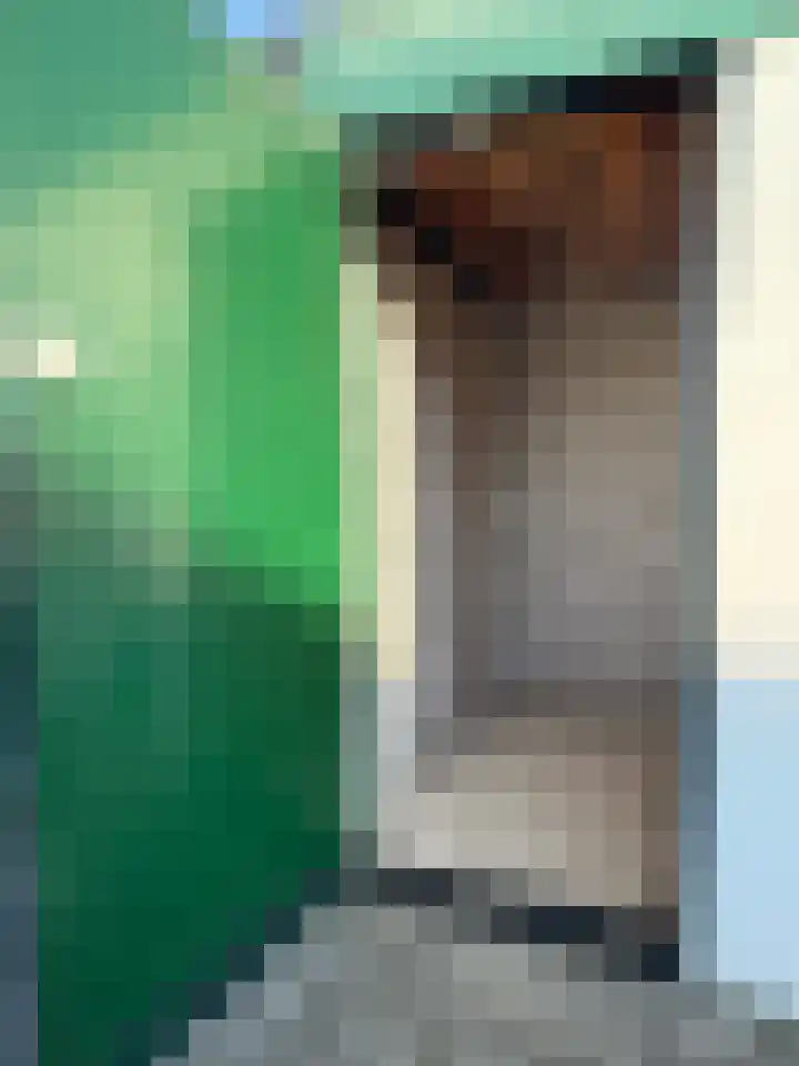 Schumakersweg 36 De Koog thumbnail 15