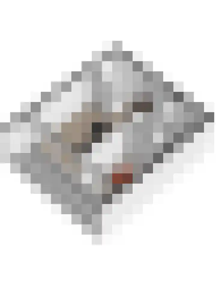 Schumakersweg 36 De Koog thumbnail 22