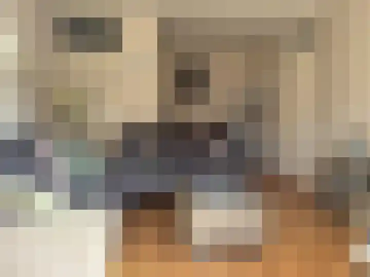 Schumakersweg 36 De Koog thumbnail 5