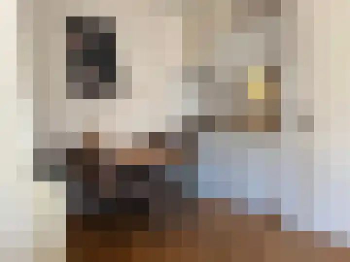 Schumakersweg 36 De Koog thumbnail 6