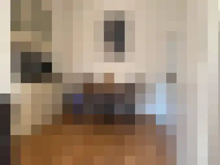 Schumakersweg 36 De Koog thumbnail 7