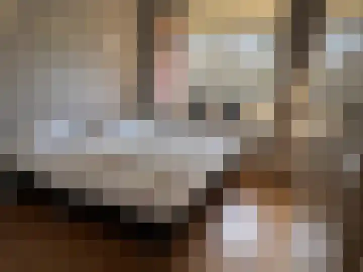 Schumakersweg 36 De Koog thumbnail 9