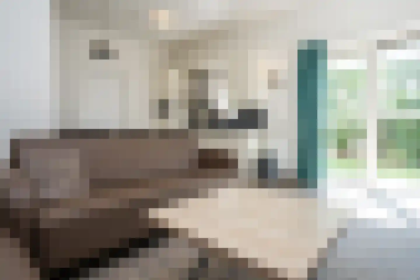 Schumakersweg 49 De Koog thumbnail 10
