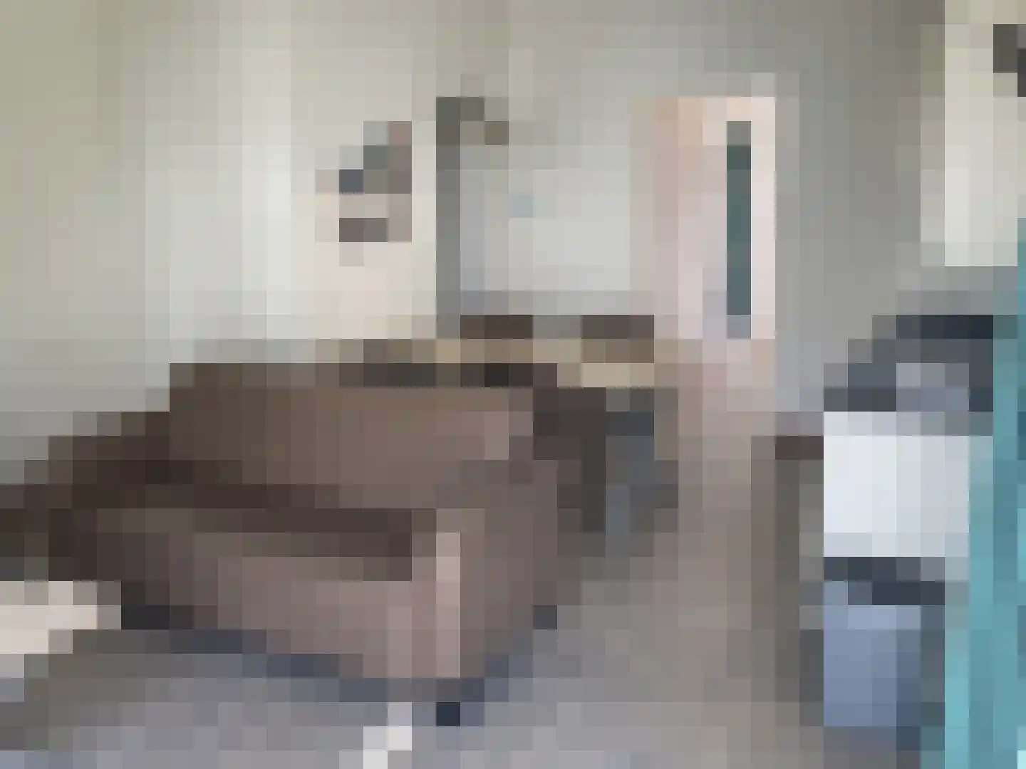 Schumakersweg 49 De Koog thumbnail 11