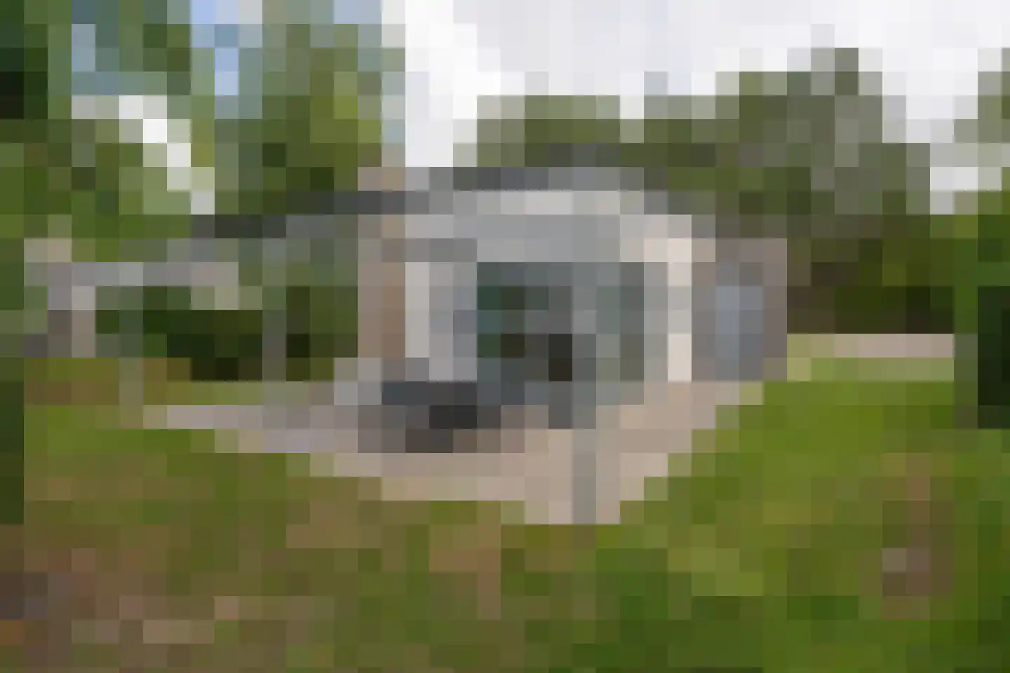 Schumakersweg 49 De Koog thumbnail 33