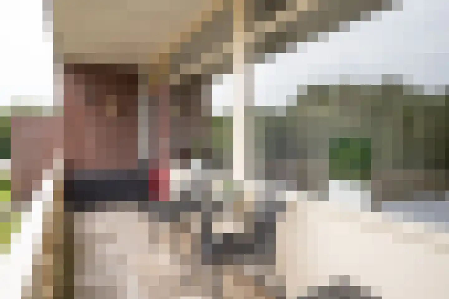 Schumakersweg 82 De Koog thumbnail 11
