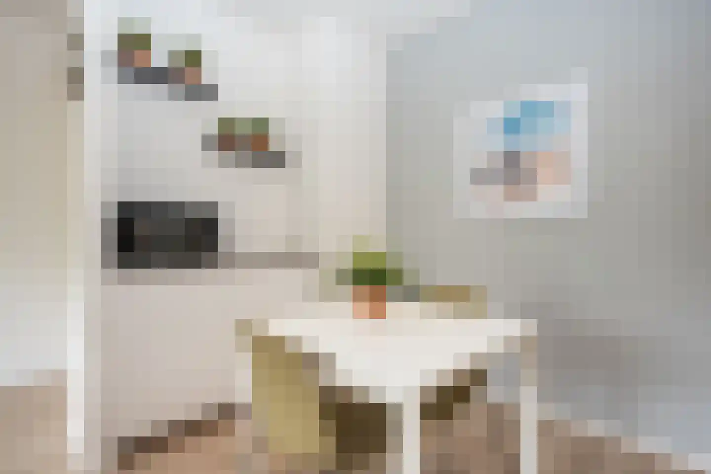 Schumakersweg 82 De Koog thumbnail 26