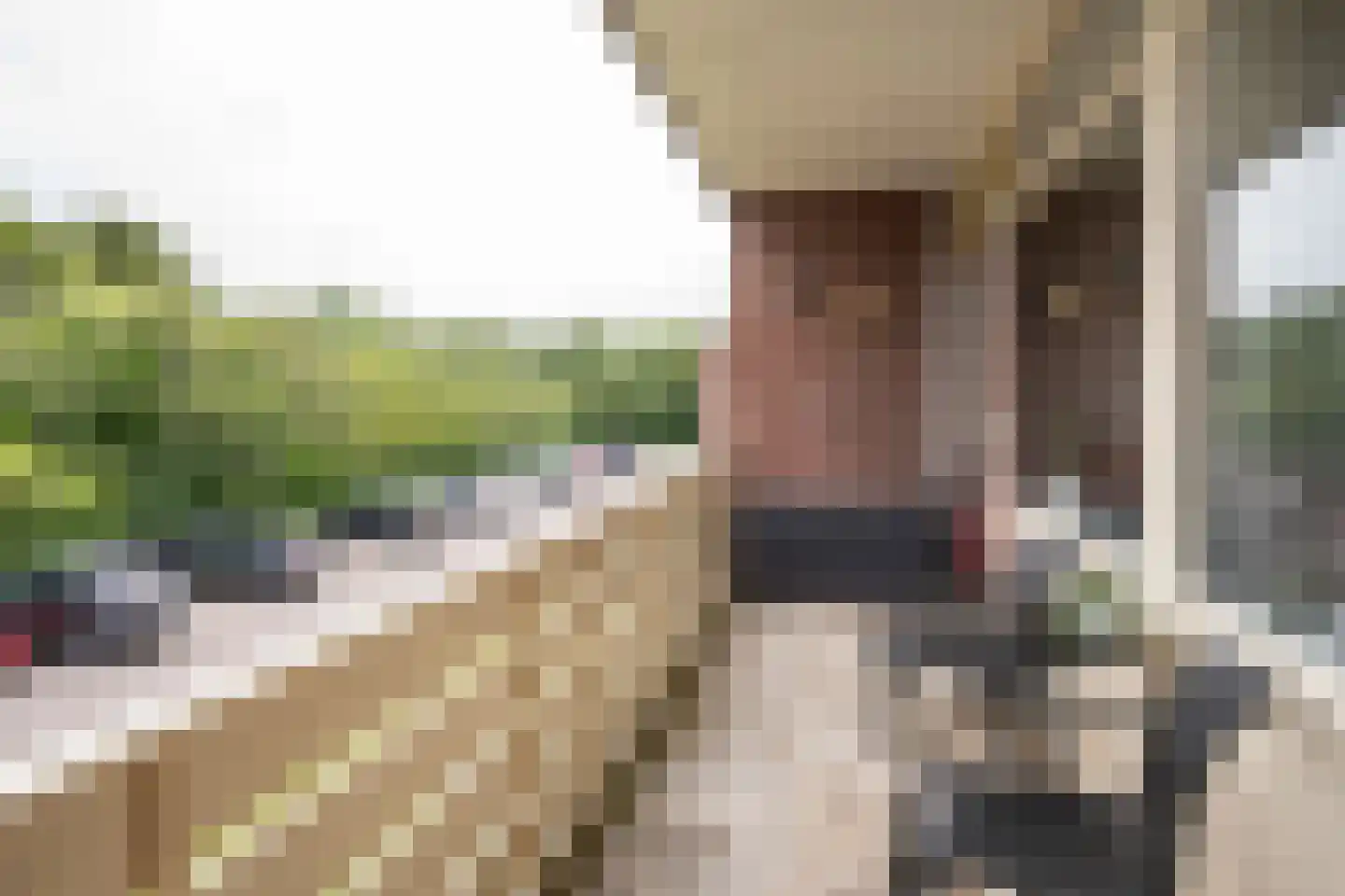 Schumakersweg 82 De Koog thumbnail 42