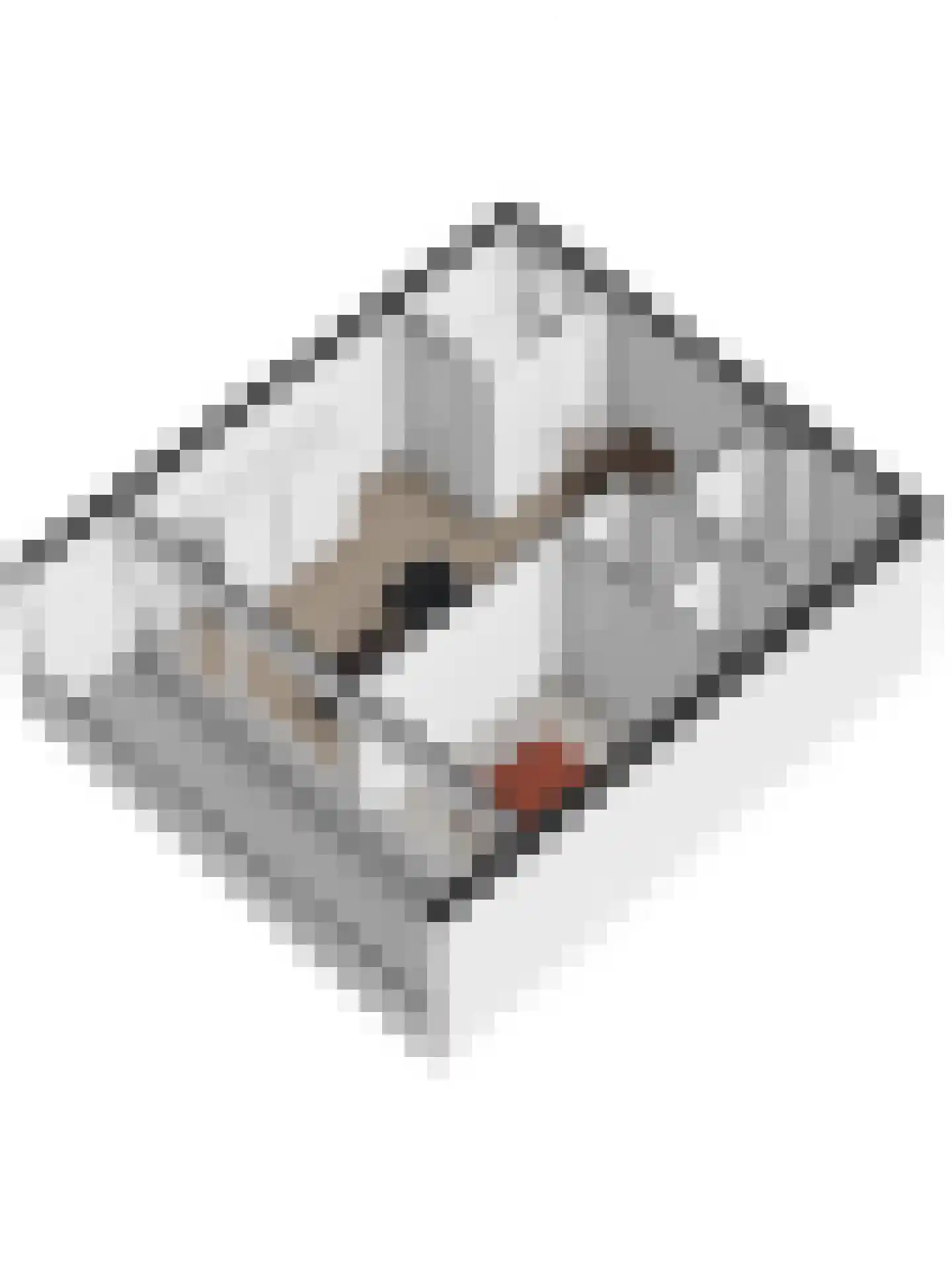 Schumakersweg 90 De Koog thumbnail 19