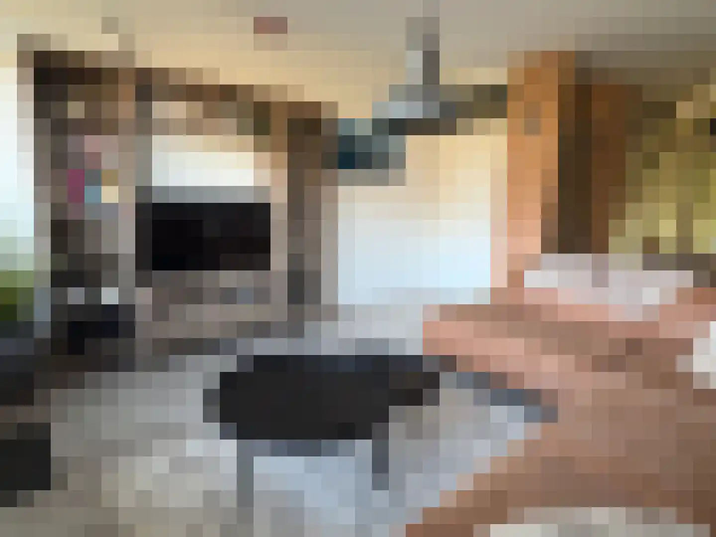 Schumakersweg 90 De Koog thumbnail 4