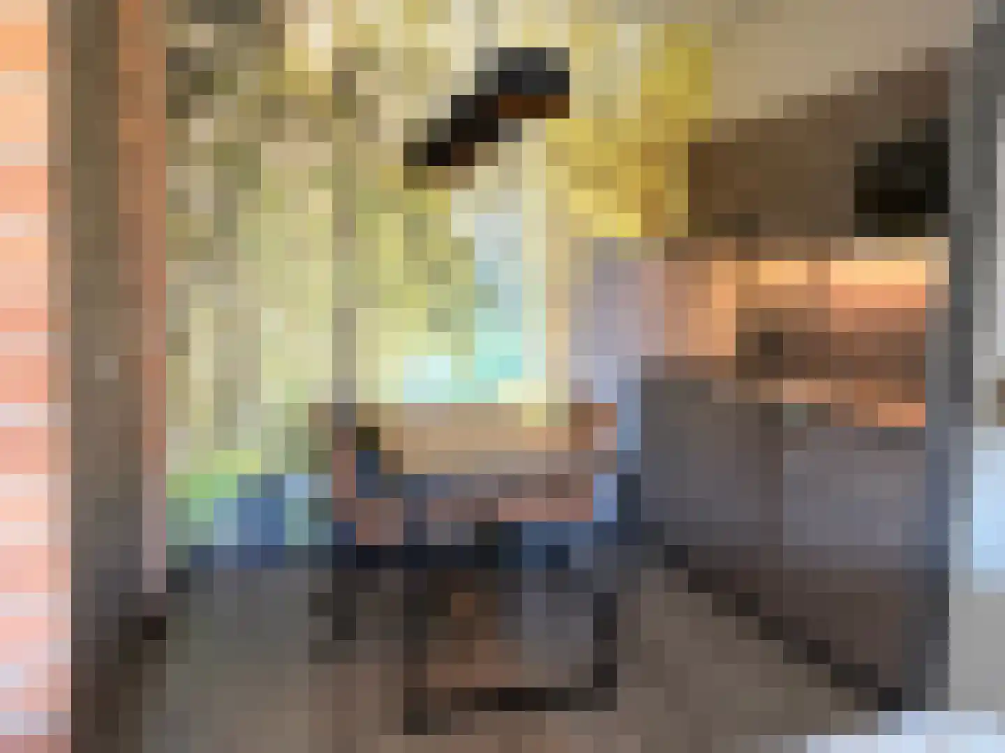 Schumakersweg 90 De Koog thumbnail 7