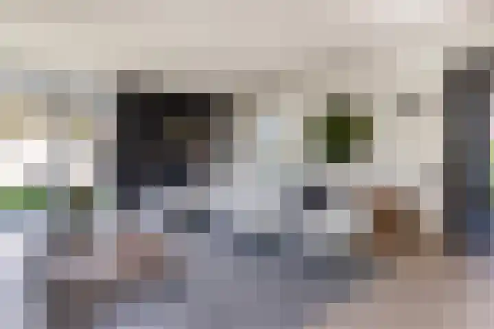 Schumanlaan 1 Woerden thumbnail 10