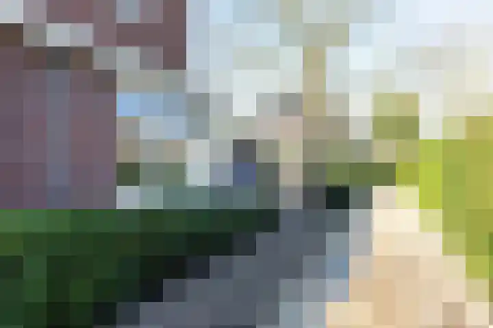 Schumanlaan 1 Woerden thumbnail 104