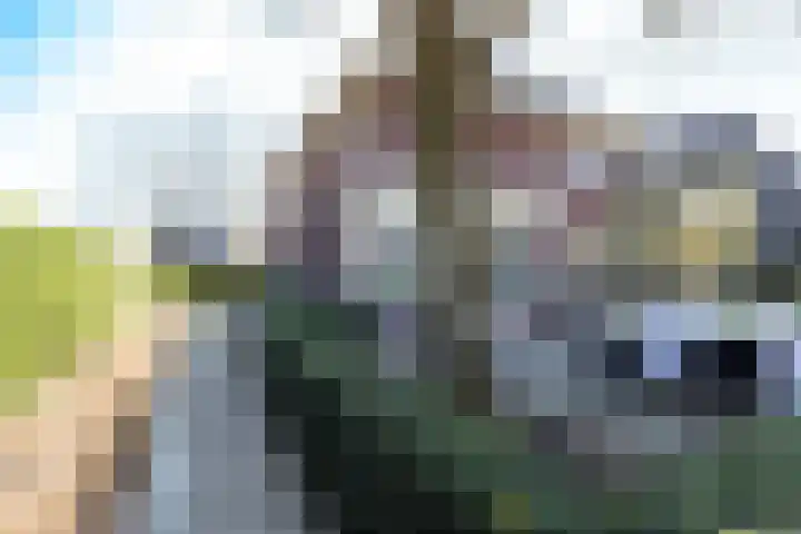 Schumanlaan 1 Woerden thumbnail 105