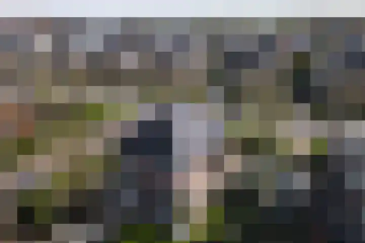 Schumanlaan 1 Woerden thumbnail 109