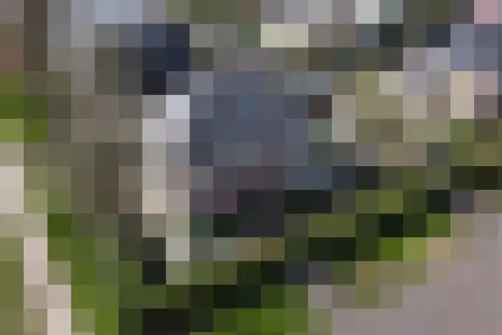 Schumanlaan 1 Woerden thumbnail 110