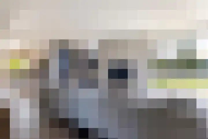 Schumanlaan 1 Woerden thumbnail 13
