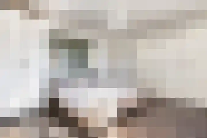 Schumanlaan 1 Woerden thumbnail 47