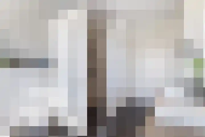 Schumanlaan 1 Woerden thumbnail 56