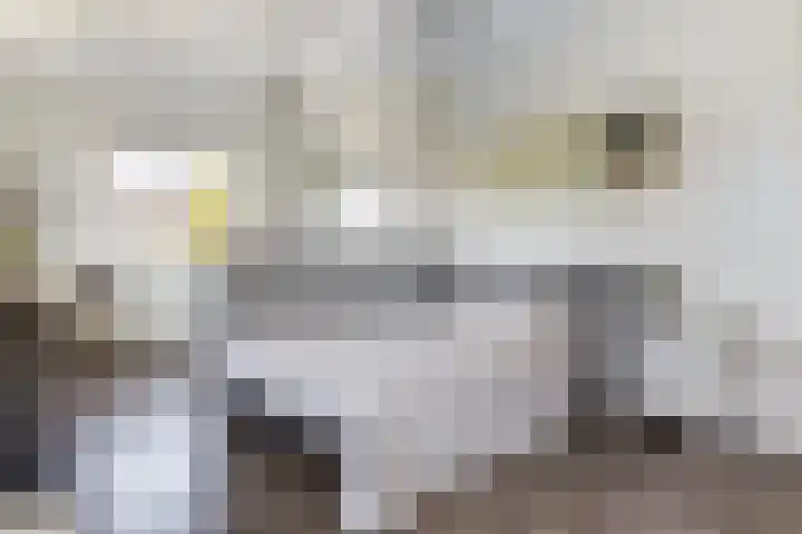 Schumanlaan 1 Woerden thumbnail 62