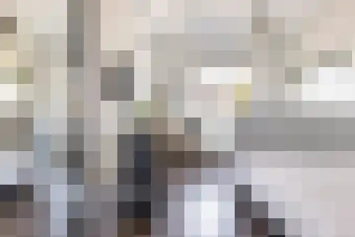 Schumanlaan 1 Woerden thumbnail 63